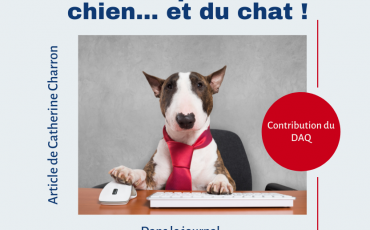 Des politiques de travail qui ont du chien... et du chat !