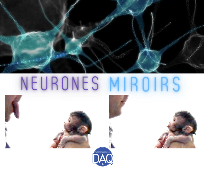 Mouvement et émotion : Les « neurones miroirs » - Capsule DAQ N° 68
