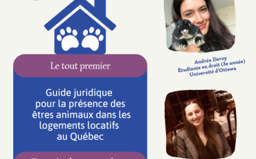 Deux étudiantes collaborent à la rédaction de notre prochain guide juridique