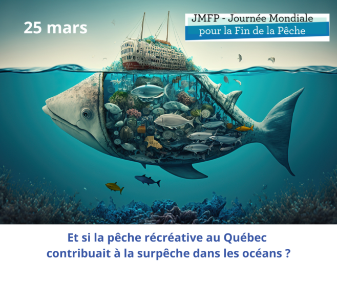 Et si la pêche récréative au Québec contribuait à la surpêche dans les océans ? - Capsule DAQ N° 71