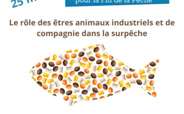 Le rôle des êtres animaux industriels et de compagnie dans la surpêche - Capsule DAQ N° 72