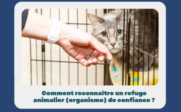 COMMENT RECONNAITRE UN REFUGE ANIMALIER (ORGANISME) DE CONFIANCE ? - CAPSULE DAQ N° 63
