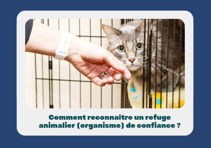 COMMENT RECONNAITRE UN REFUGE ANIMALIER (ORGANISME) DE CONFIANCE ? - CAPSULE DAQ N° 63