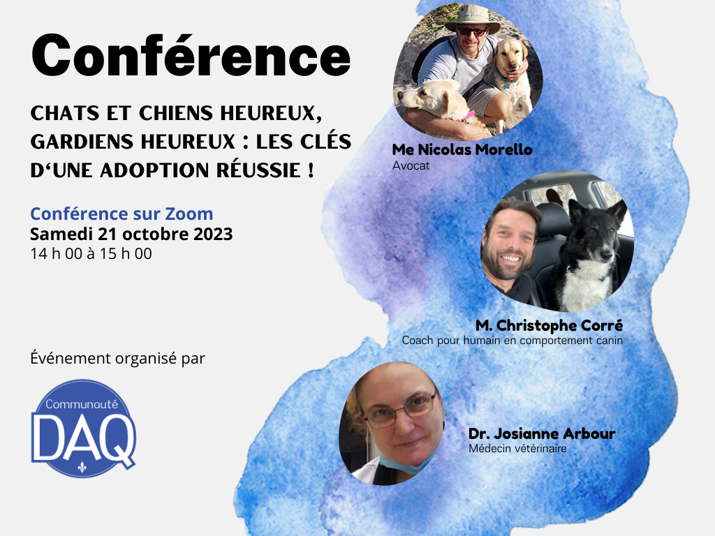 Conférence DAQ - Chats et chiens heureux, gardiens heureux : les clés d'une adoption réussie !