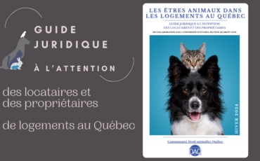 Les êtres animaux dans les logements au Québec