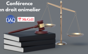 Conférence en droit animalier à l'Université McGill