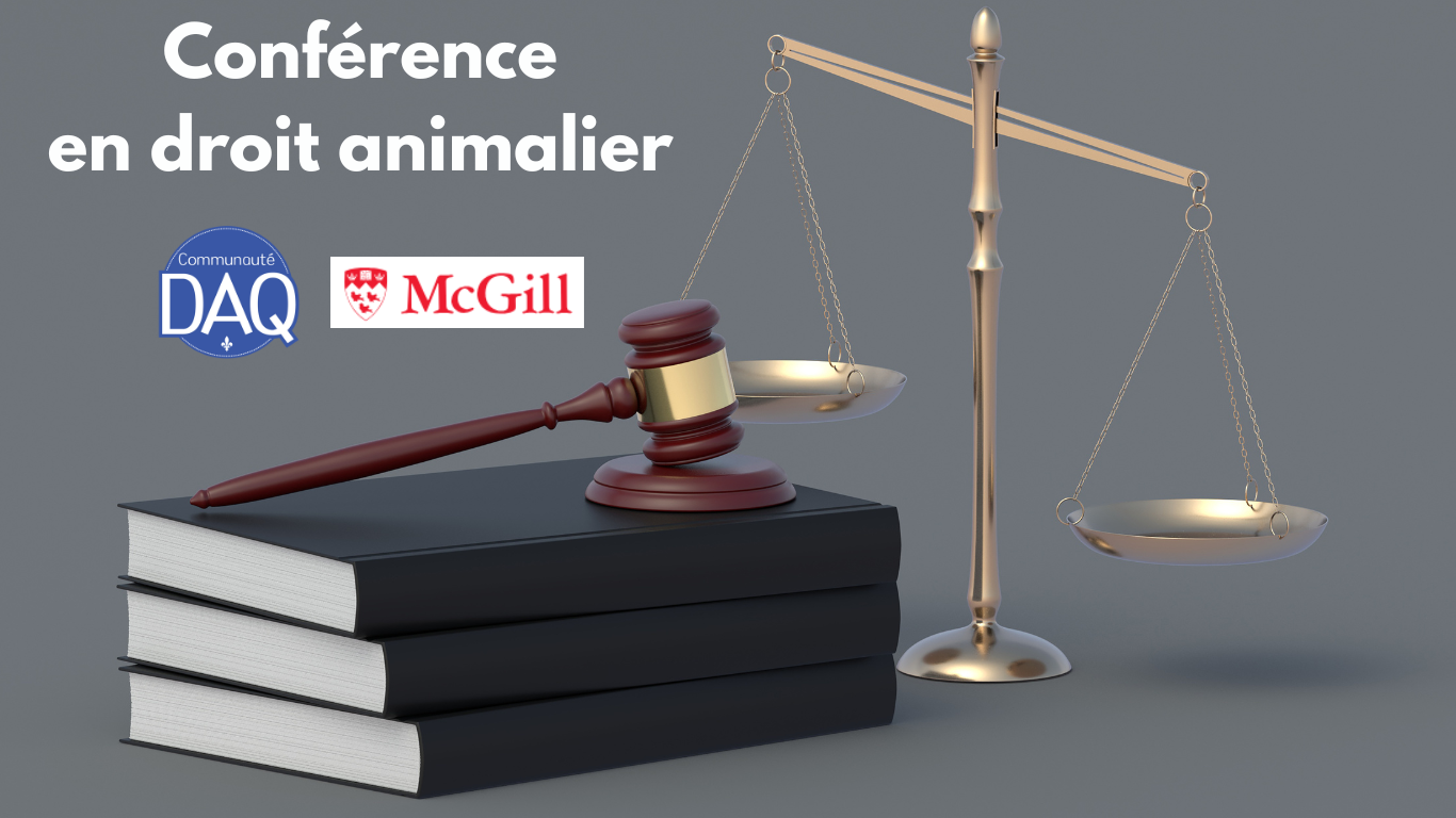 Conférence en droit animalier à l'Université McGill