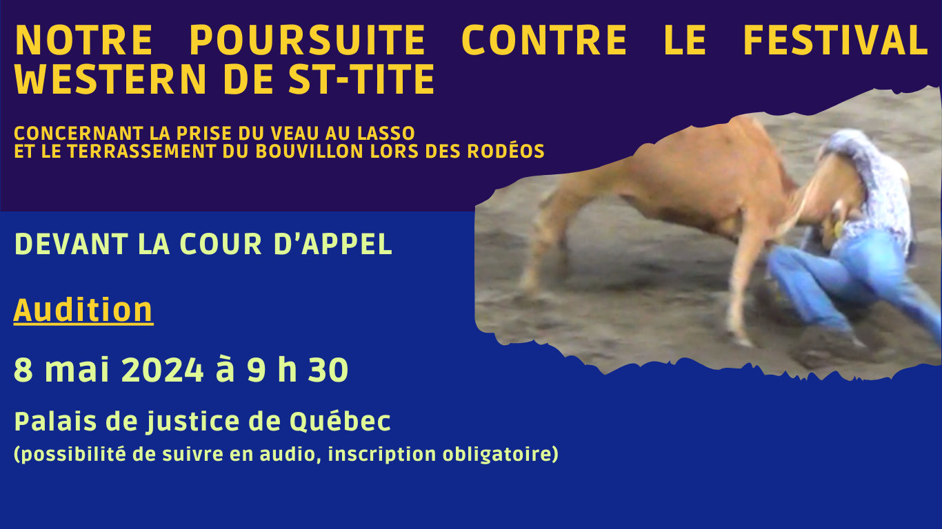 Le DAQ devant la Cour d'appel de Québec - Poursuite contre le Festival Western de St-Tite