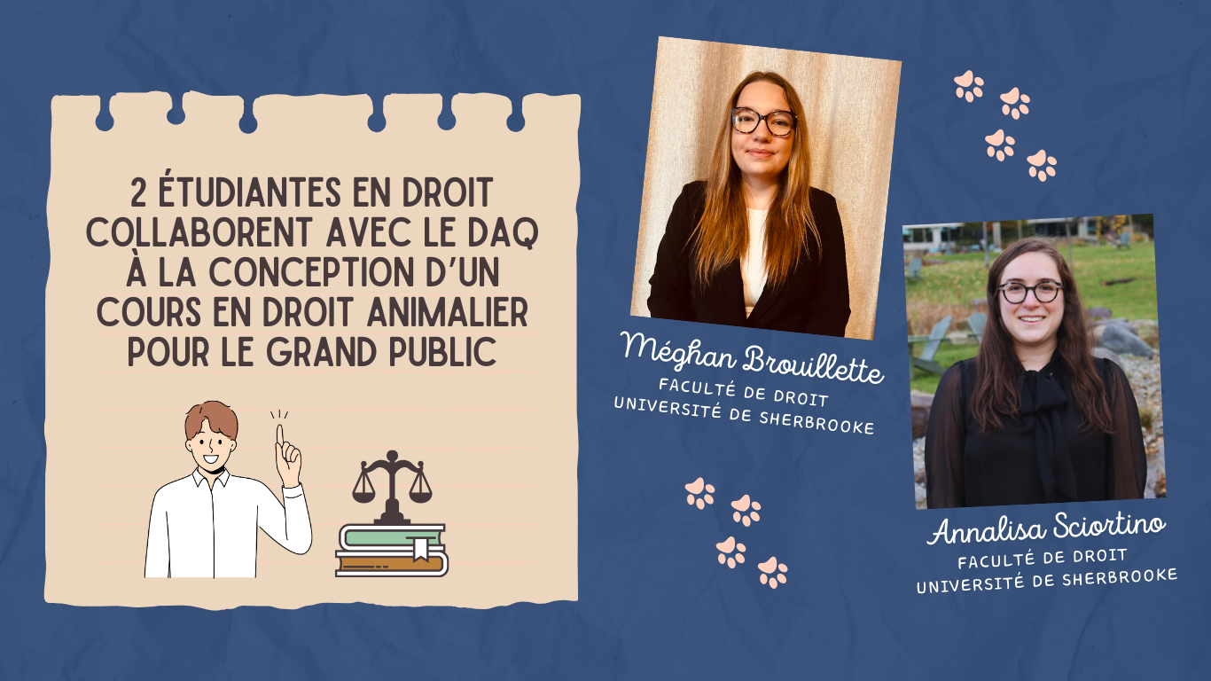 Deux étudiantes en droit collaborent à la conception d'un cours en droit animalier