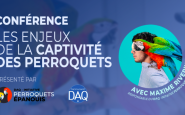 DAQ – Initiative perroquets épanouis : conférence à Trois-Rivières