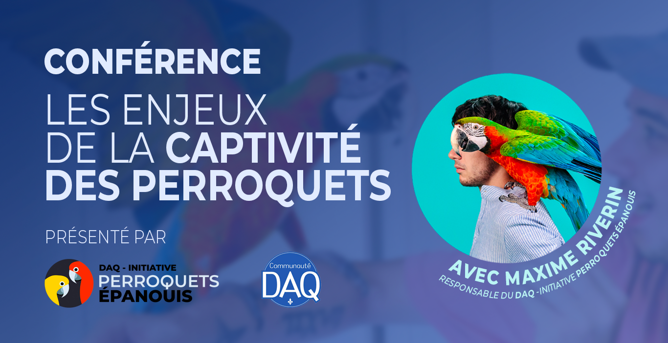 DAQ – Initiative perroquets épanouis : conférence à Trois-Rivières