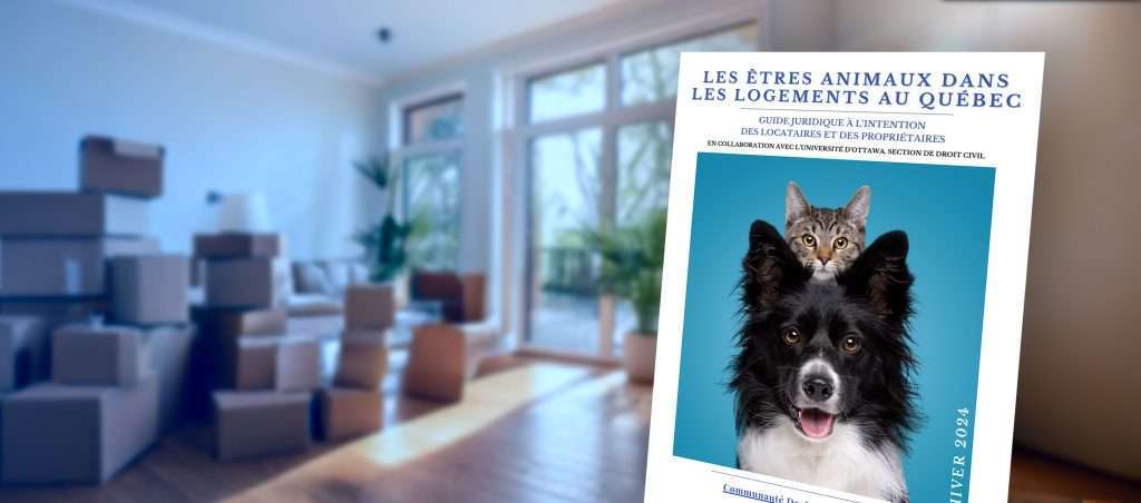Animaux logements quebec